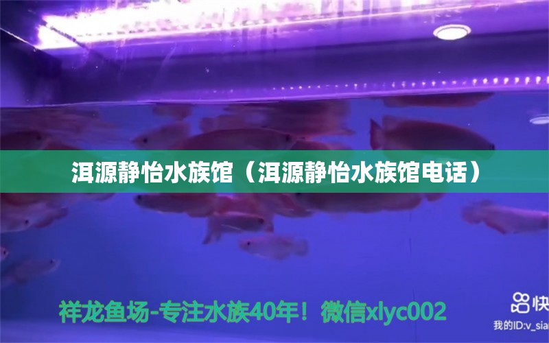 洱源静怡水族馆（洱源静怡水族馆电话）