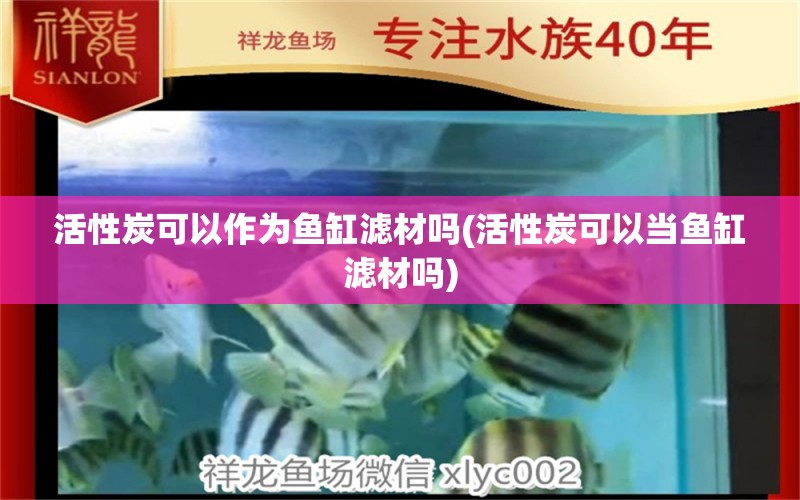 活性炭可以作为鱼缸滤材吗(活性炭可以当鱼缸滤材吗) 泰国虎鱼 第1张