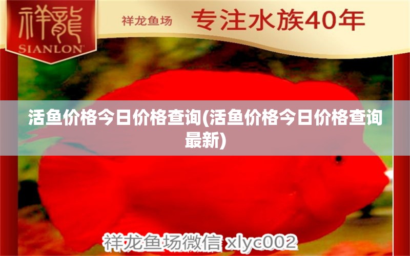 活鱼价格今日价格查询(活鱼价格今日价格查询最新)