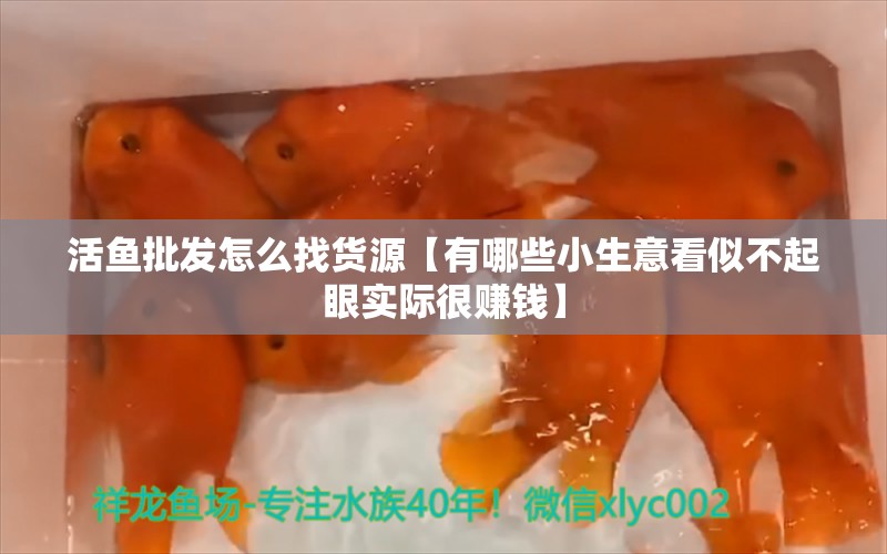 活鱼批发怎么找货源【有哪些小生意看似不起眼实际很赚钱】