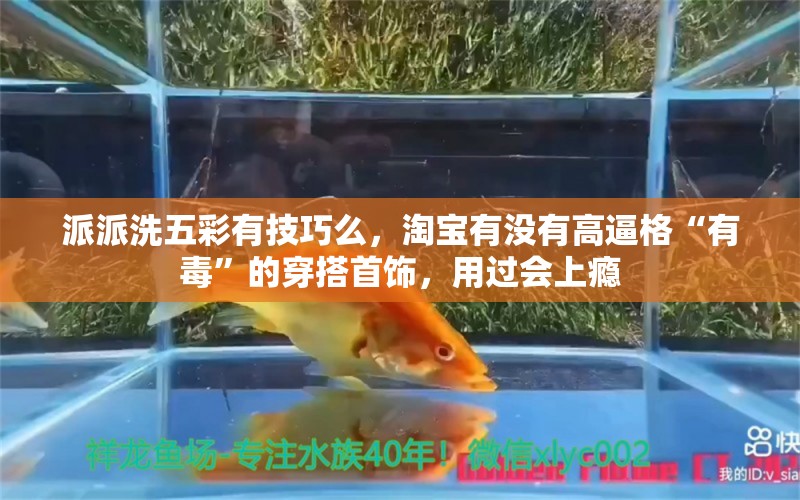 派派洗五彩有技巧么，淘宝有没有高逼格“有毒”的穿搭首饰，用过会上瘾 养鱼的好处 第1张