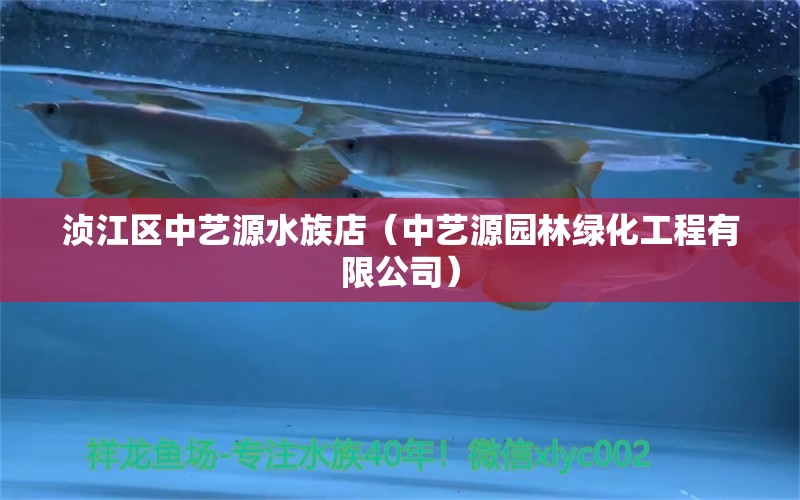 浈江区中艺源水族店（中艺源园林绿化工程有限公司）