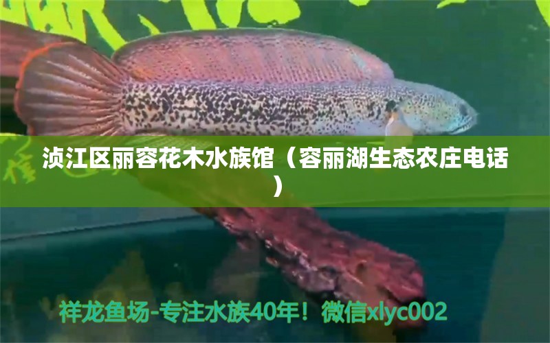 浈江区丽容花木水族馆（容丽湖生态农庄电话）