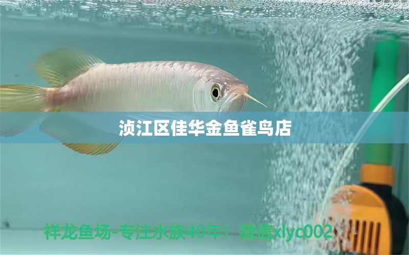 浈江区佳华金鱼雀鸟店 全国水族馆企业名录