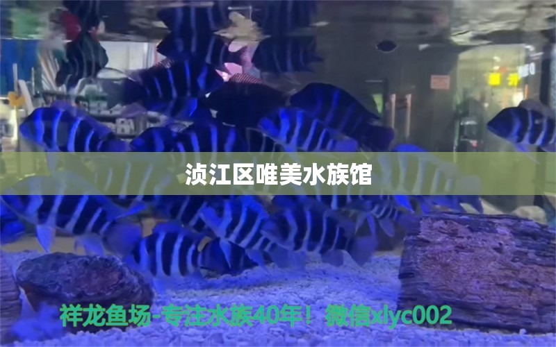 浈江区唯美水族馆 全国水族馆企业名录