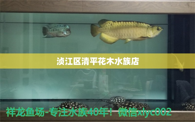 浈江区清平花木水族店 全国水族馆企业名录