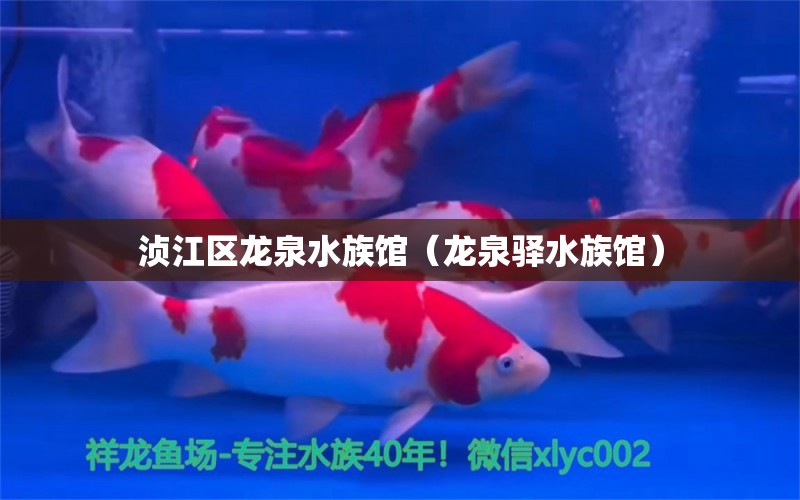 浈江区龙泉水族馆（龙泉驿水族馆） 全国水族馆企业名录