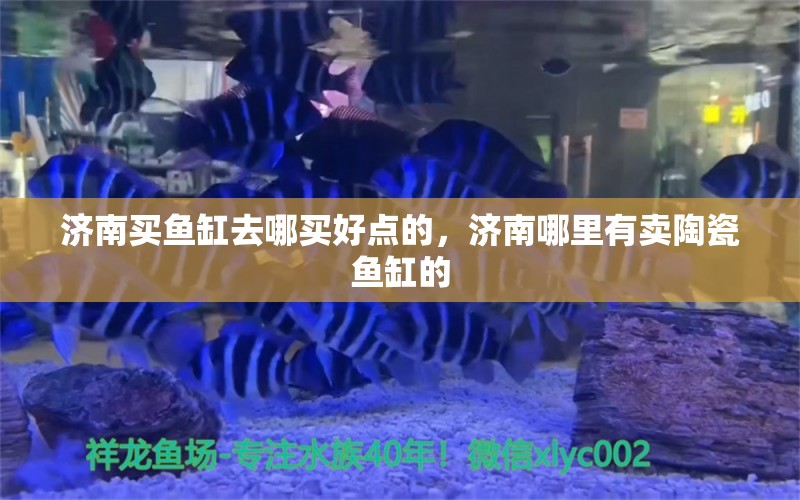 济南买鱼缸去哪买好点的，济南哪里有卖陶瓷鱼缸的