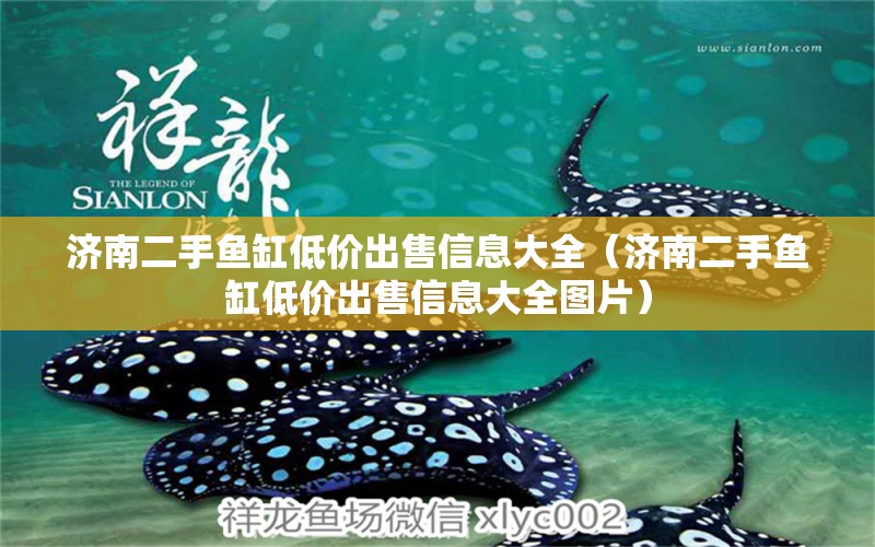 济南二手鱼缸低价出售信息大全（济南二手鱼缸低价出售信息大全图片）