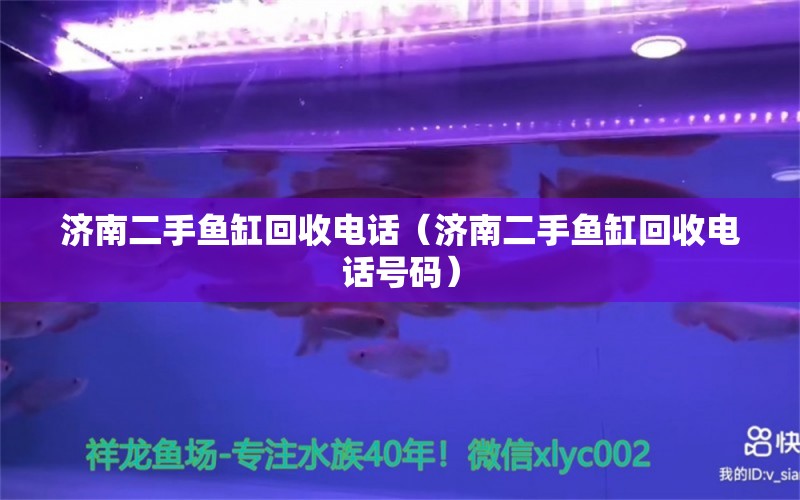 济南二手鱼缸回收电话（济南二手鱼缸回收电话号码） 祥龙水族医院