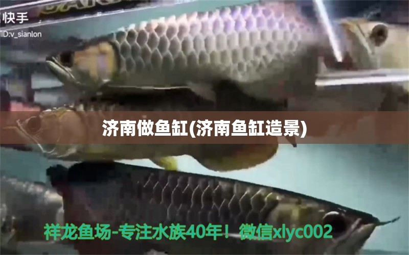 济南做鱼缸(济南鱼缸造景) 广州祥龙国际水族贸易