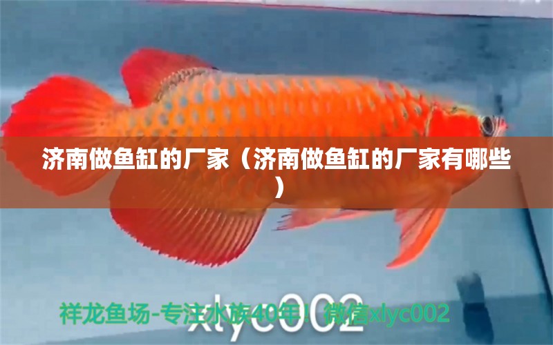 济南做鱼缸的厂家（济南做鱼缸的厂家有哪些） 其他品牌鱼缸