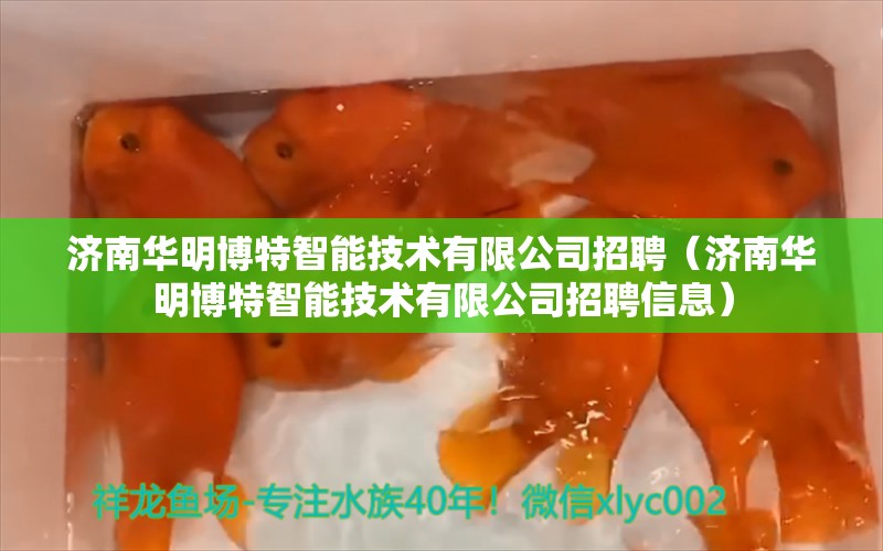 济南华明博特智能技术有限公司招聘（济南华明博特智能技术有限公司招聘信息） 博特水族