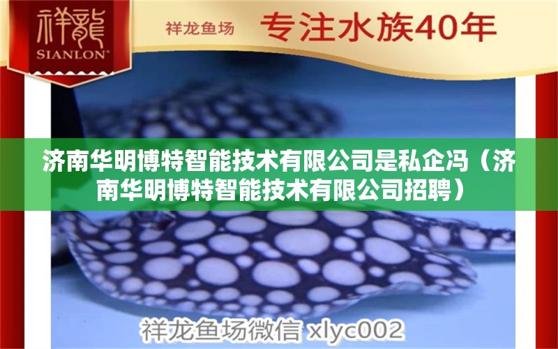 济南华明博特智能技术有限公司是私企冯（济南华明博特智能技术有限公司招聘）