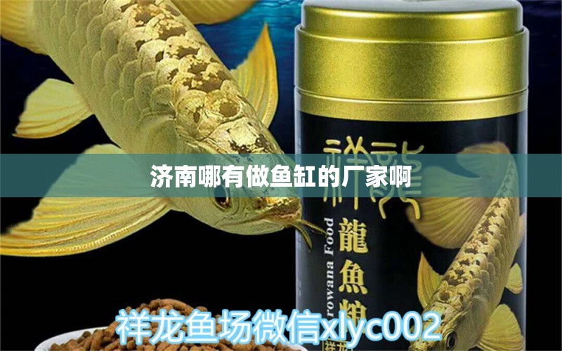 济南哪有做鱼缸的厂家啊