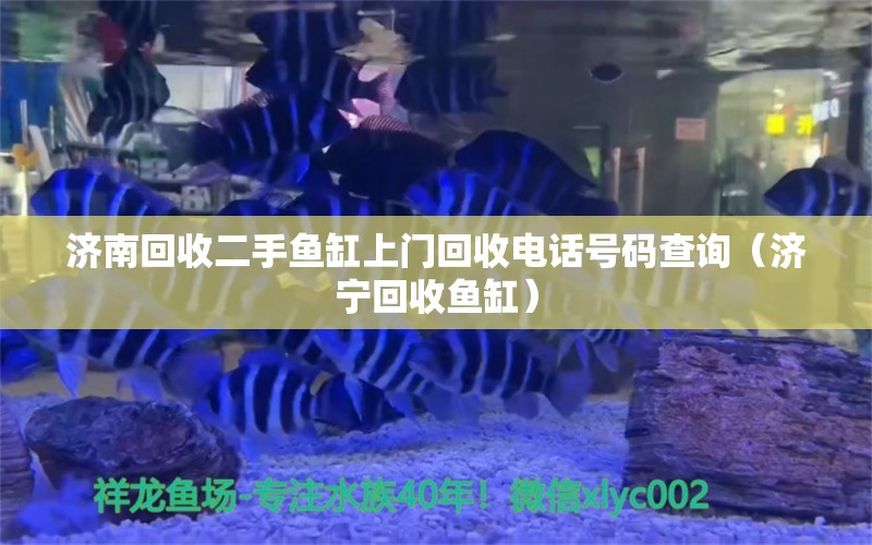 济南回收二手鱼缸上门回收电话号码查询（济宁回收鱼缸）