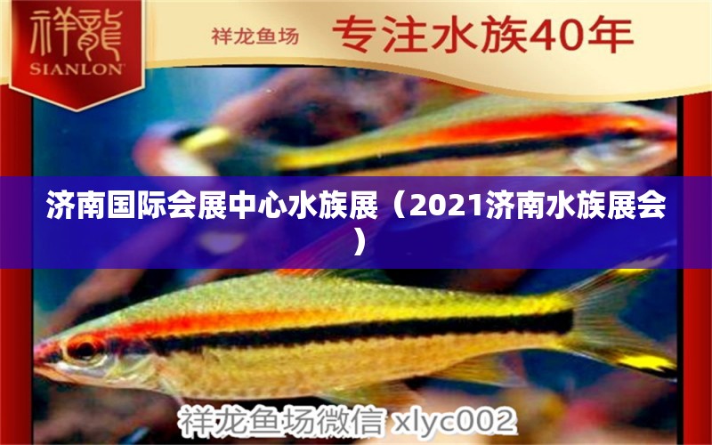 济南国际会展中心水族展（2021济南水族展会） 水族展会