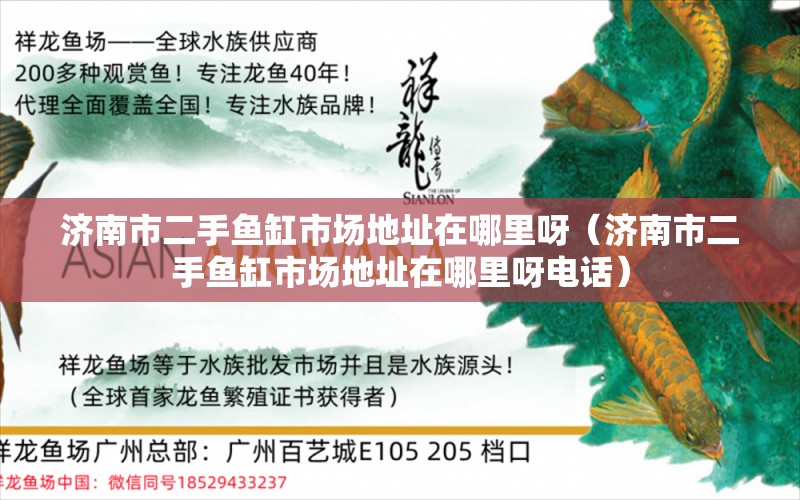 济南市二手鱼缸市场地址在哪里呀（济南市二手鱼缸市场地址在哪里呀电话） 量子养鱼技术