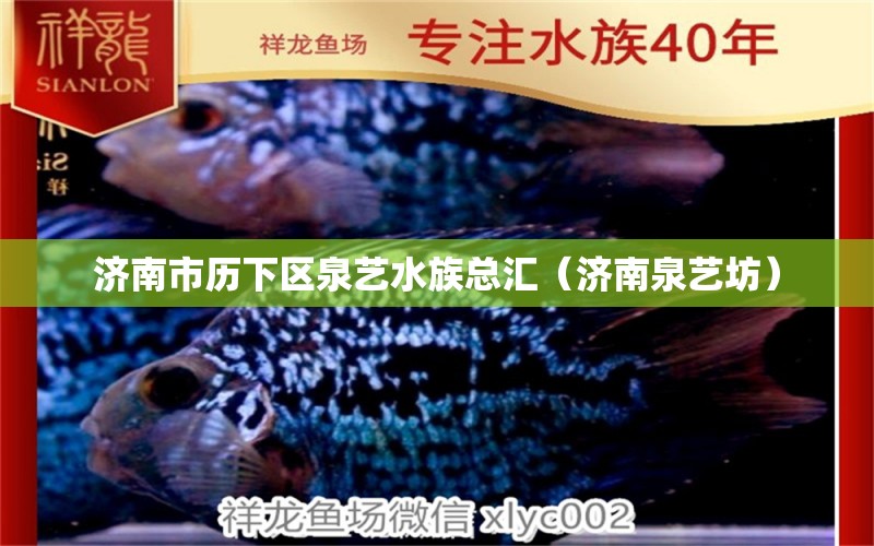 济南市历下区泉艺水族总汇（济南泉艺坊） 全国水族馆企业名录