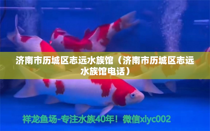 济南市历城区志远水族馆（济南市历城区志远水族馆电话）