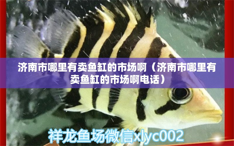 济南市哪里有卖鱼缸的市场啊（济南市哪里有卖鱼缸的市场啊电话）