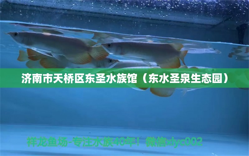 济南市天桥区东圣水族馆（东水圣泉生态园） 全国水族馆企业名录