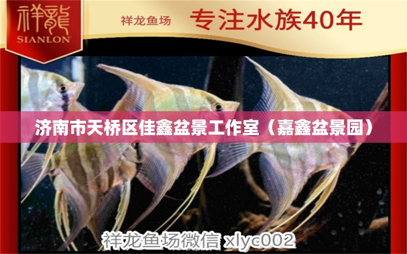 济南市天桥区佳鑫盆景工作室（嘉鑫盆景园） 全国水族馆企业名录