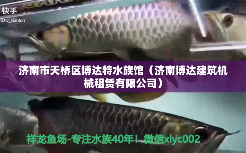 济南市天桥区博达特水族馆（济南博达建筑机械租赁有限公司）