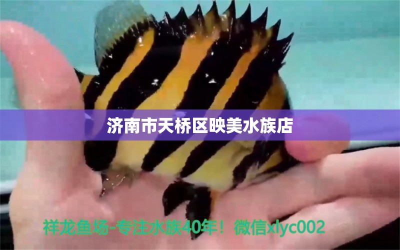 济南市天桥区映美水族店 全国水族馆企业名录