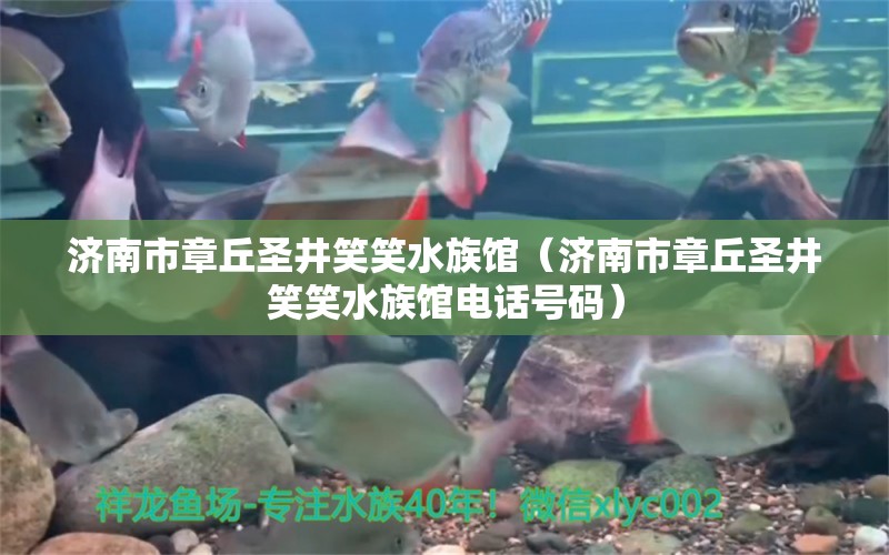 济南市章丘圣井笑笑水族馆（济南市章丘圣井笑笑水族馆电话号码） 全国水族馆企业名录