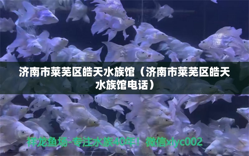 济南市莱芜区皓天水族馆（济南市莱芜区皓天水族馆电话）