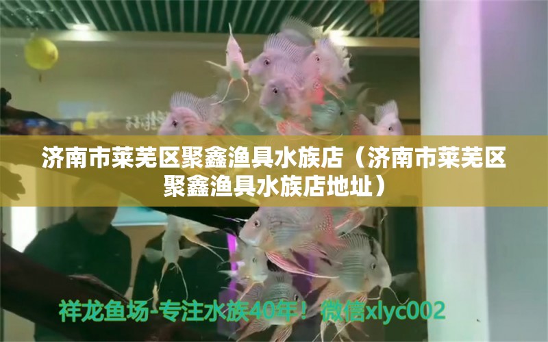 济南市莱芜区聚鑫渔具水族店（济南市莱芜区聚鑫渔具水族店地址） 全国水族馆企业名录