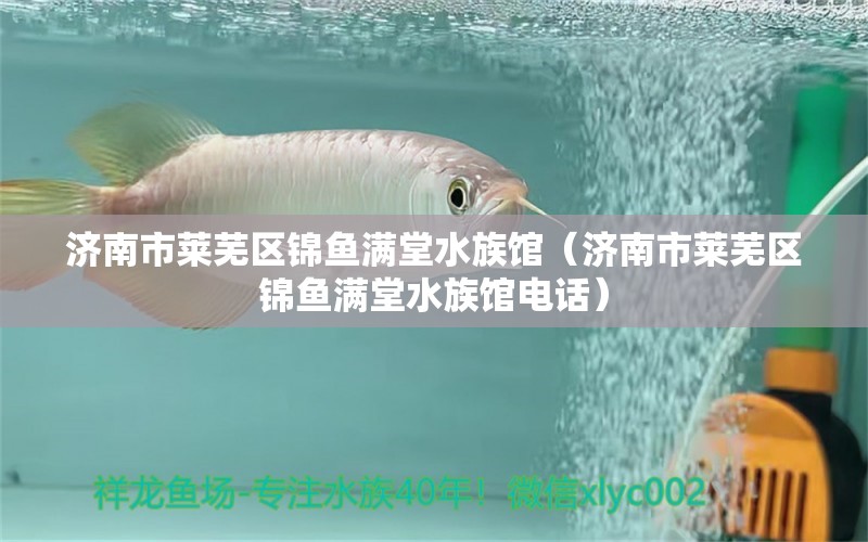 济南市莱芜区锦鱼满堂水族馆（济南市莱芜区锦鱼满堂水族馆电话） 全国水族馆企业名录