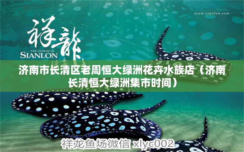 济南市长清区老周恒大绿洲花卉水族店（济南长清恒大绿洲集市时间） 全国水族馆企业名录