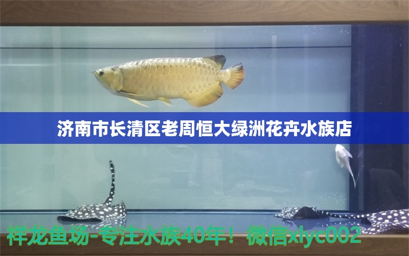 济南市长清区老周恒大绿洲花卉水族店