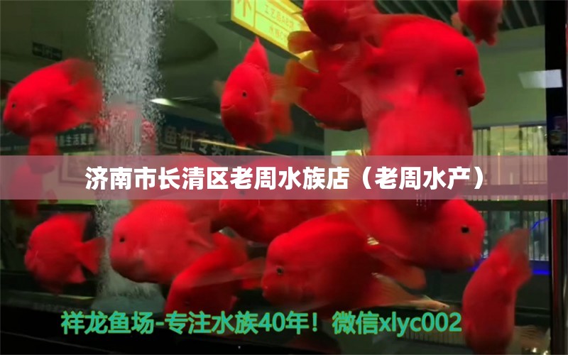 济南市长清区老周水族店（老周水产） 全国水族馆企业名录