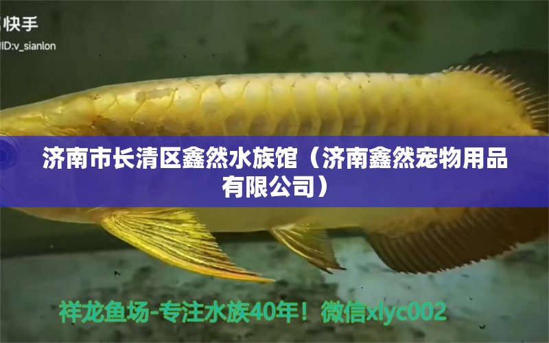 济南市长清区鑫然水族馆（济南鑫然宠物用品有限公司） 全国水族馆企业名录