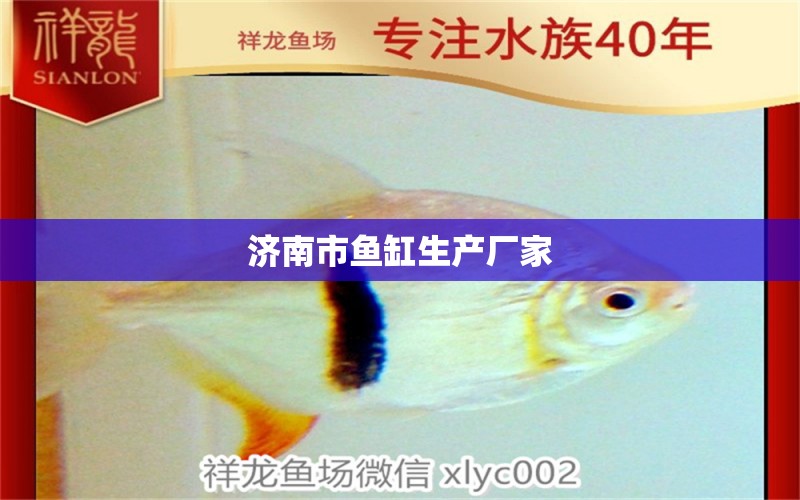 济南市鱼缸生产厂家 其他品牌鱼缸