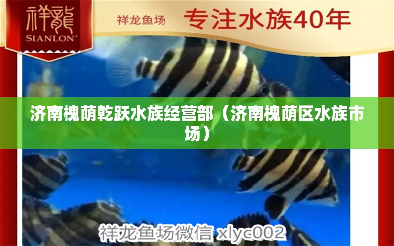 济南槐荫乾跃水族经营部（济南槐荫区水族市场）