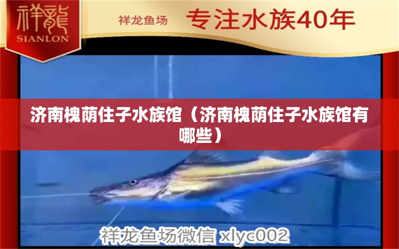 济南槐荫住子水族馆（济南槐荫住子水族馆有哪些）