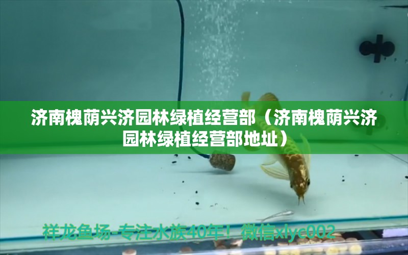 济南槐荫兴济园林绿植经营部（济南槐荫兴济园林绿植经营部地址） 全国水族馆企业名录