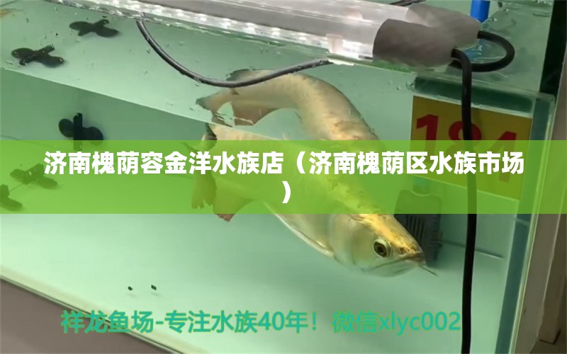 济南槐荫容金洋水族店（济南槐荫区水族市场）