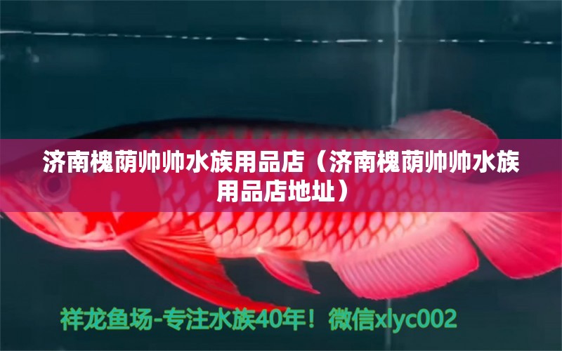 济南槐荫帅帅水族用品店（济南槐荫帅帅水族用品店地址）