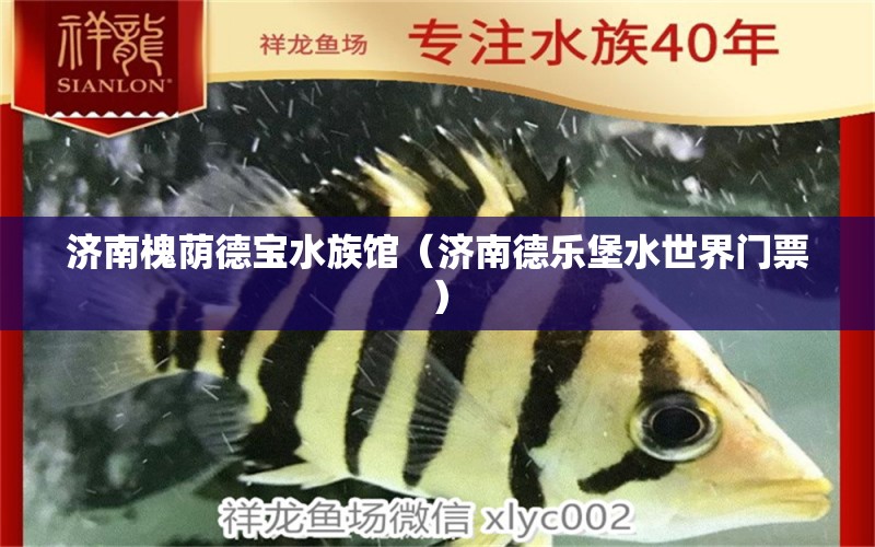 济南槐荫德宝水族馆（济南德乐堡水世界门票）