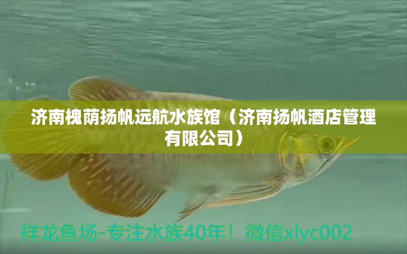 济南槐荫扬帆远航水族馆（济南扬帆酒店管理有限公司） 全国水族馆企业名录