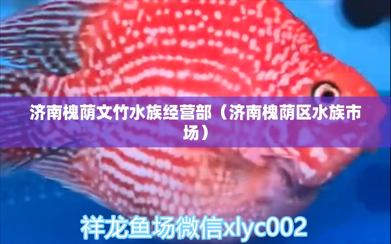 济南槐荫文竹水族经营部（济南槐荫区水族市场）