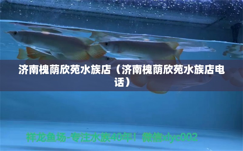 济南槐荫欣苑水族店（济南槐荫欣苑水族店电话） 全国水族馆企业名录