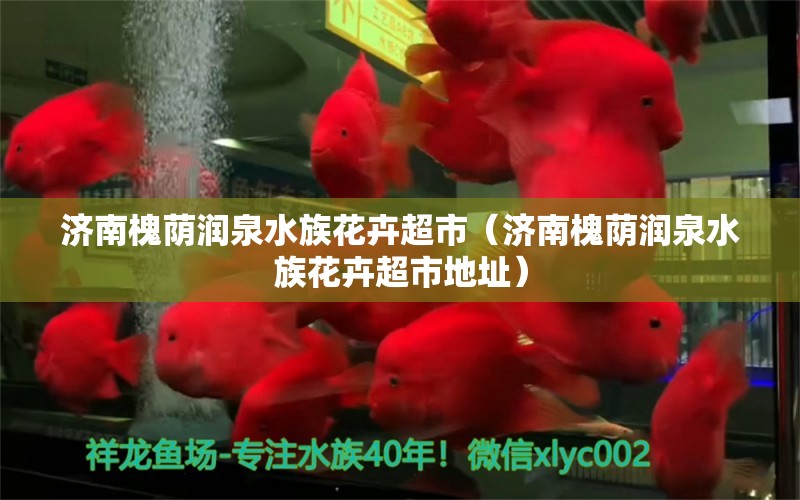 济南槐荫润泉水族花卉超市（济南槐荫润泉水族花卉超市地址） 全国水族馆企业名录