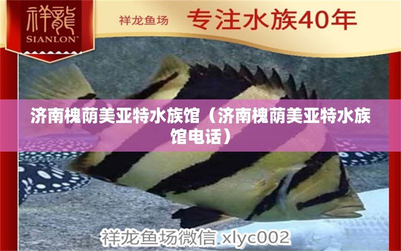 济南槐荫美亚特水族馆（济南槐荫美亚特水族馆电话）