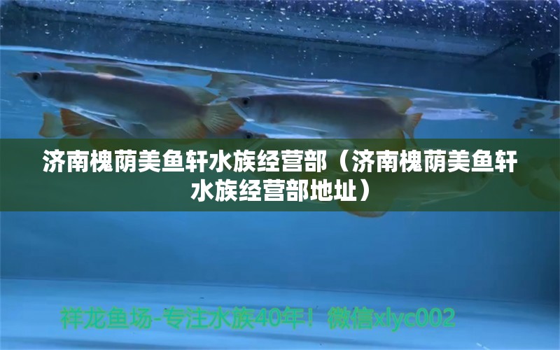 济南槐荫美鱼轩水族经营部（济南槐荫美鱼轩水族经营部地址） 全国水族馆企业名录